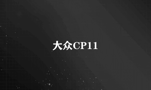 大众CP11