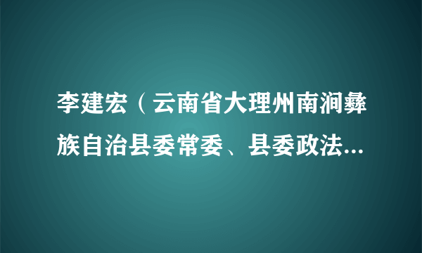 李建宏（云南省大理州南涧彝族自治县委常委、县委政法委书记）