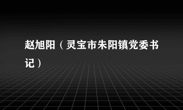 赵旭阳（灵宝市朱阳镇党委书记）