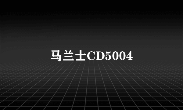 马兰士CD5004