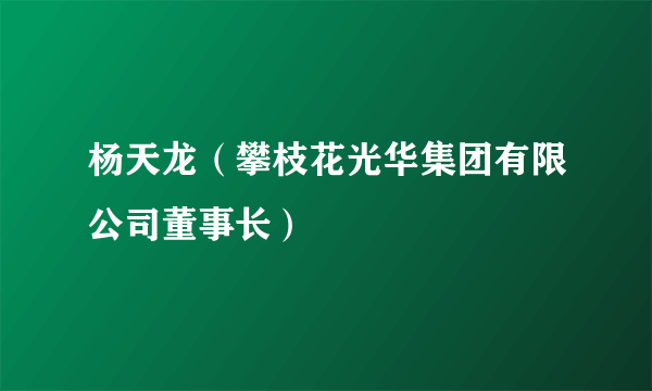 杨天龙（攀枝花光华集团有限公司董事长）