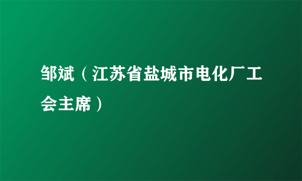 邹斌（江苏省盐城市电化厂工会主席）