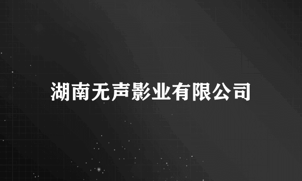 湖南无声影业有限公司