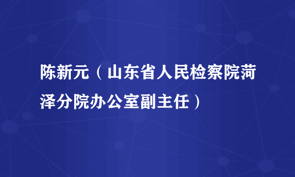 陈新元（山东省人民检察院菏泽分院办公室副主任）