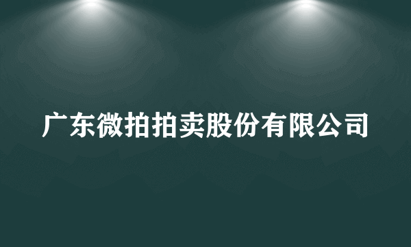 广东微拍拍卖股份有限公司