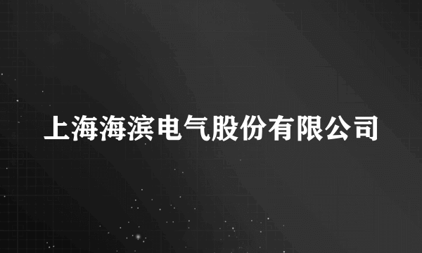 上海海滨电气股份有限公司