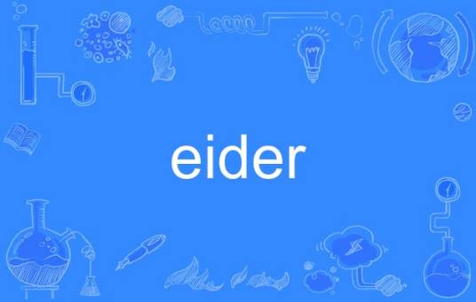 eider（英语单词）