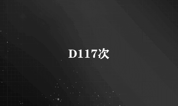 D117次