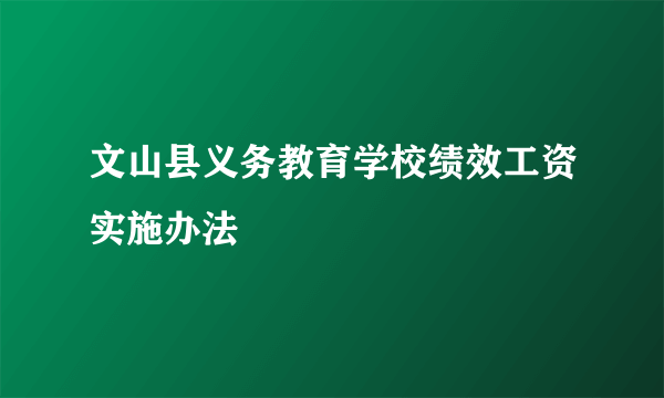 文山县义务教育学校绩效工资实施办法