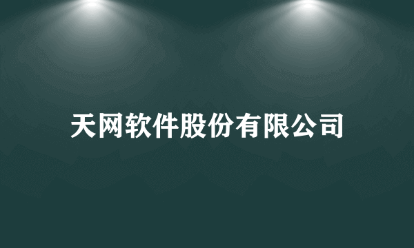 天网软件股份有限公司