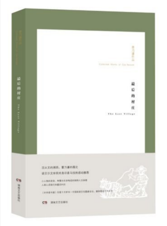 最后的村庄（2012年湖南文艺出版社出版的图书）