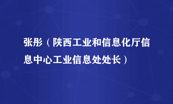 张彤（陕西工业和信息化厅信息中心工业信息处处长）