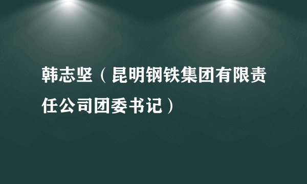 韩志坚（昆明钢铁集团有限责任公司团委书记）