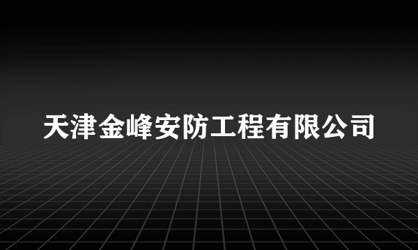 天津金峰安防工程有限公司