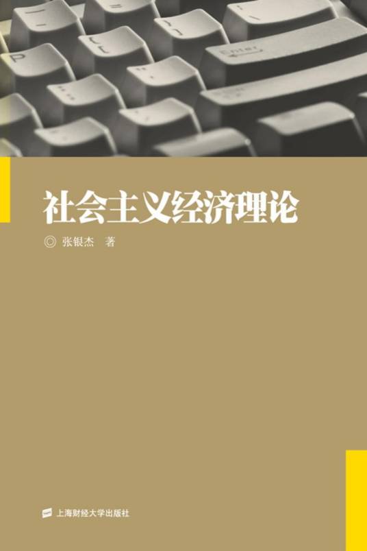 社会主义经济理论（2010年上海财经大学出版社出版的图书）