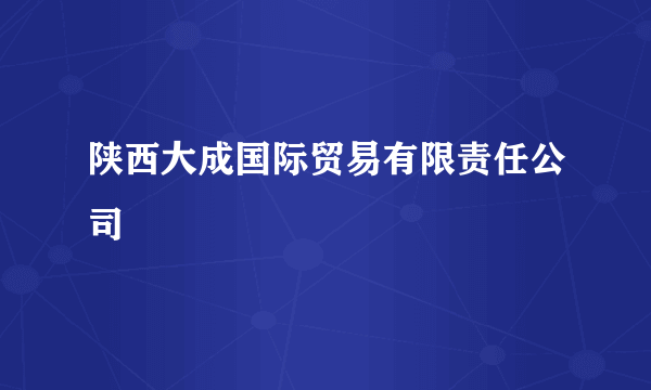 陕西大成国际贸易有限责任公司