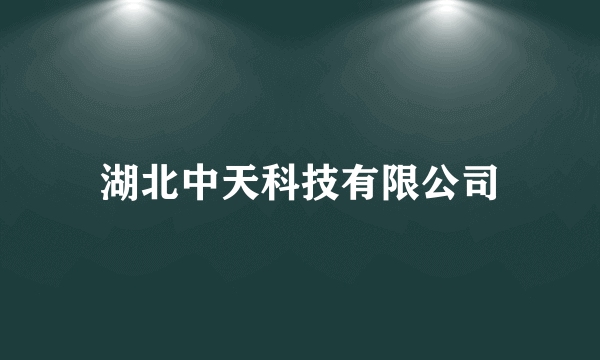 湖北中天科技有限公司