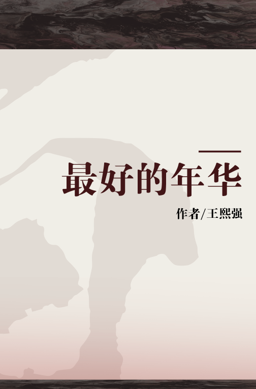 最好的年华（王熙强创作的文学作品）