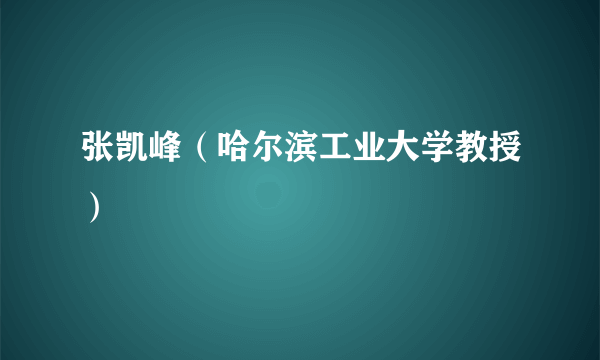 张凯峰（哈尔滨工业大学教授）