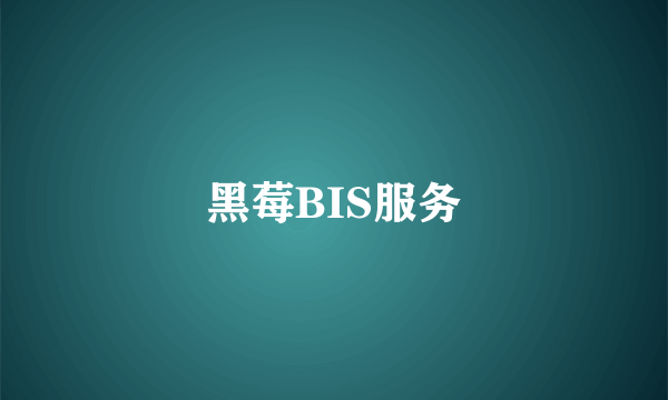 黑莓BIS服务