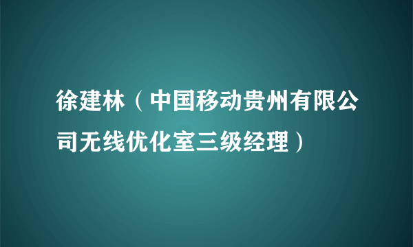 徐建林（中国移动贵州有限公司无线优化室三级经理）