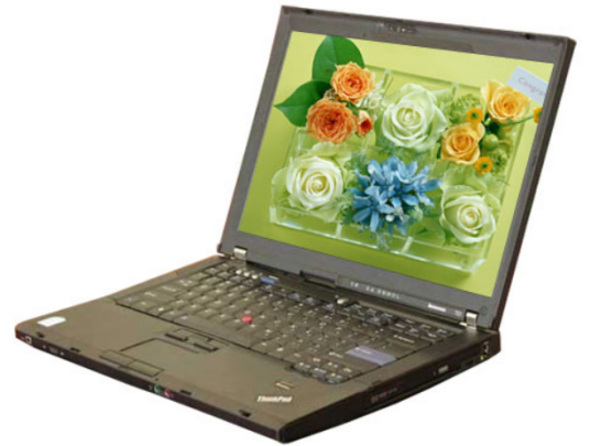 联想ThinkPad T61(766313C)