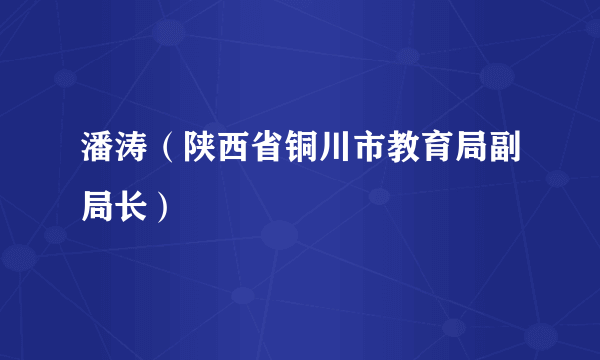 潘涛（陕西省铜川市教育局副局长）