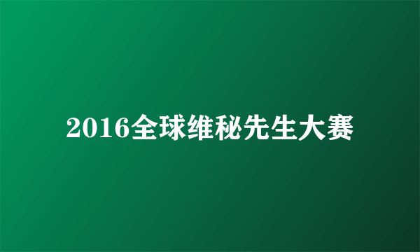 2016全球维秘先生大赛