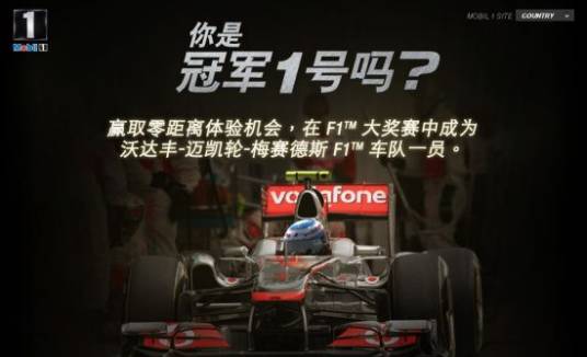 F1大奖挑战赛