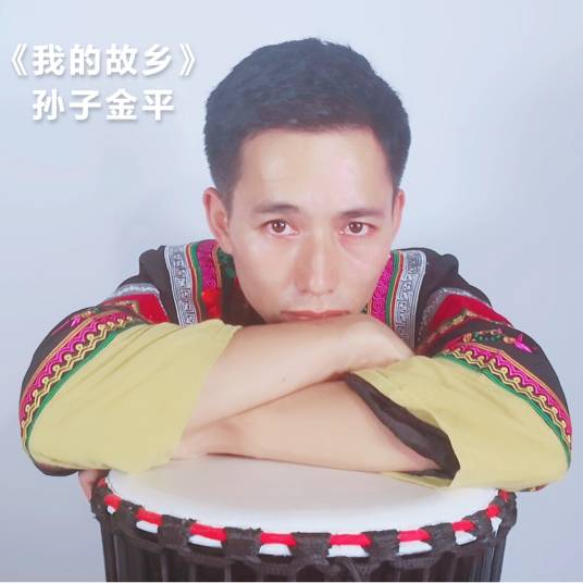 我的故乡（孙子金平演唱歌曲）