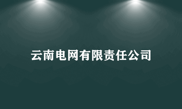 云南电网有限责任公司