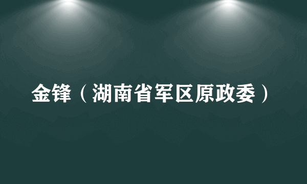 金锋（湖南省军区原政委）