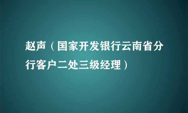 赵声（国家开发银行云南省分行客户二处三级经理）