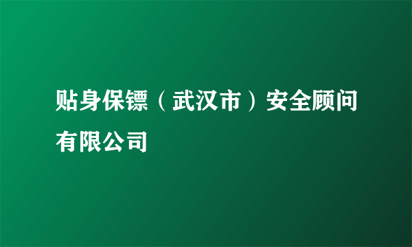 贴身保镖（武汉市）安全顾问有限公司