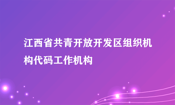 江西省共青开放开发区组织机构代码工作机构