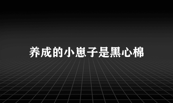 养成的小崽子是黑心棉