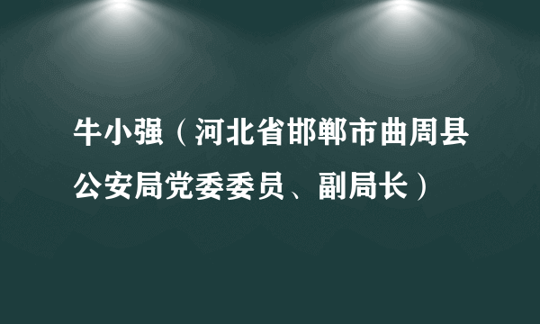 牛小强（河北省邯郸市曲周县公安局党委委员、副局长）