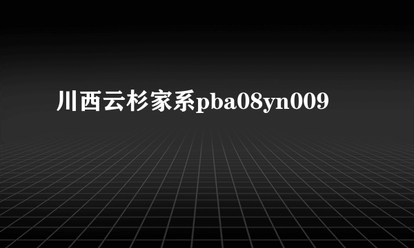 川西云杉家系pba08yn009