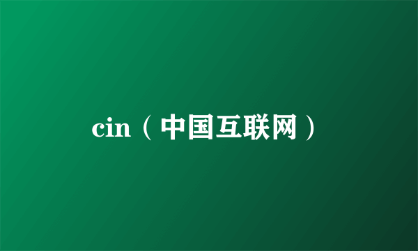 cin（中国互联网）