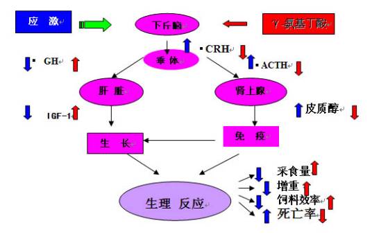 γ（有机化学定义）