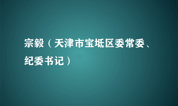 宗毅（天津市宝坻区委常委、纪委书记）