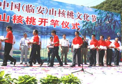 2010中国杭州临安山核桃文化节