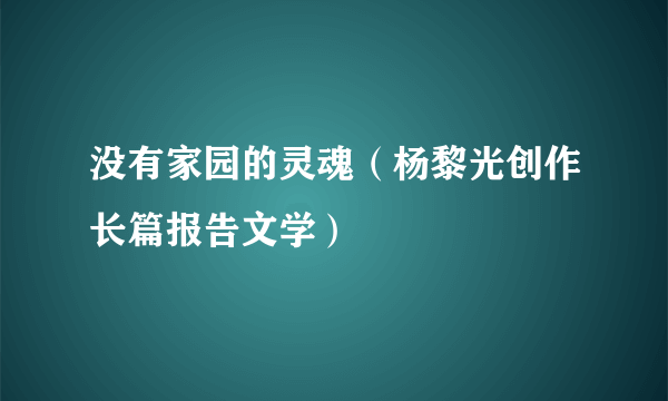 没有家园的灵魂（杨黎光创作长篇报告文学）