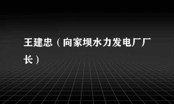 王建忠（向家坝水力发电厂厂长）