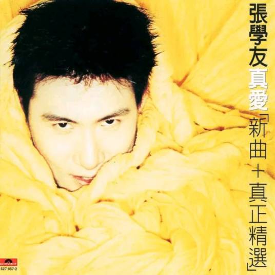 一千个伤心的理由（1995年张学友演唱歌曲）