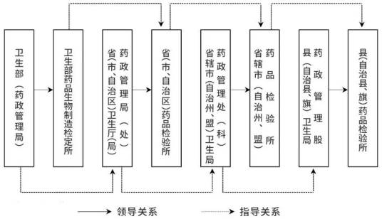 药品监督管理系统组织结构