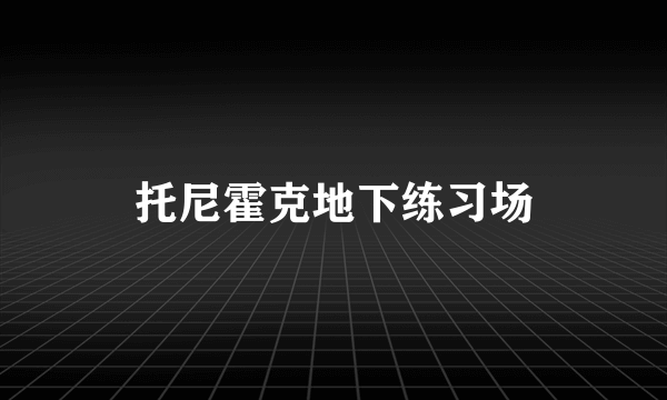 托尼霍克地下练习场