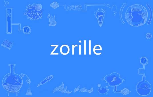 zorille