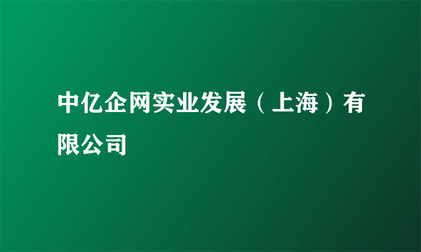 中亿企网实业发展（上海）有限公司