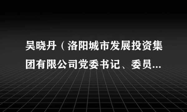 吴晓丹（洛阳城市发展投资集团有限公司党委书记、委员、董事长、董事）